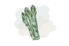 Spargel im Dampfgarer